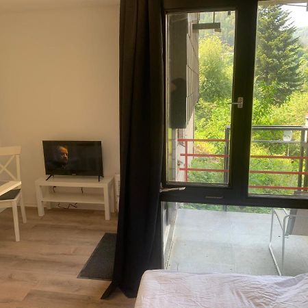 Kleines Einzimmer-Apartment 14 Bad Wildbad Exteriér fotografie