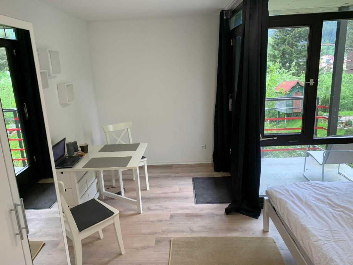 Kleines Einzimmer-Apartment 14 Bad Wildbad Exteriér fotografie