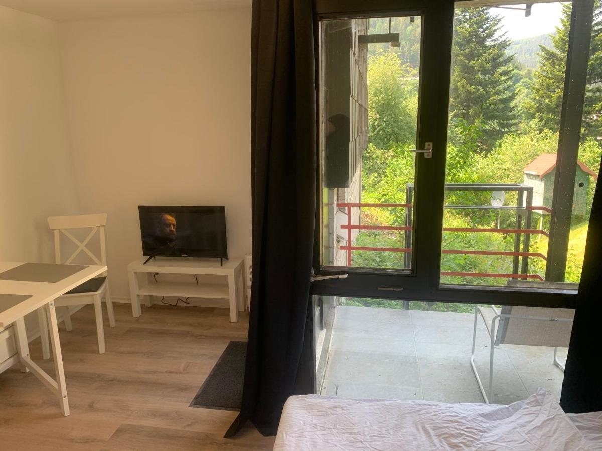 Kleines Einzimmer-Apartment 14 Bad Wildbad Exteriér fotografie